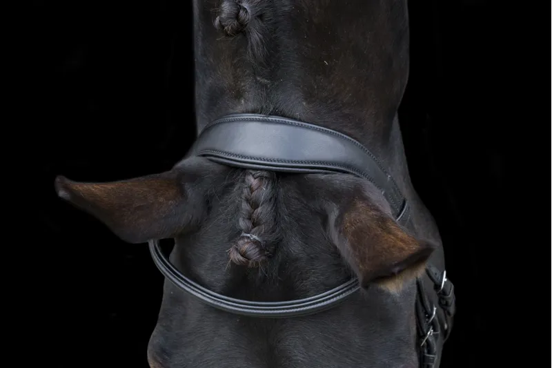 EcoRider EcoSoft Finesse Bridle Brown-4